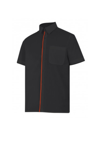 CAMISA P531 VELILLA